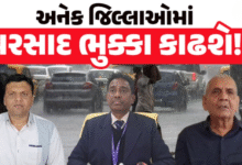 રાજ્યમાં આગામી દિવસોમાં વરસાદનું જોર ઘટશે. હવામાન વિભાગે વરસાદની આગાહી કરી છે. આગામી 7 દિવસ હળવાથી મધ્યમ વરસાદની સંભાવના છે.