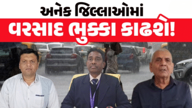 રાજ્યમાં આગામી દિવસોમાં વરસાદનું જોર ઘટશે. હવામાન વિભાગે વરસાદની આગાહી કરી છે. આગામી 7 દિવસ હળવાથી મધ્યમ વરસાદની સંભાવના છે.