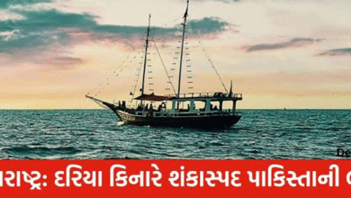મહારાષ્ટ્રના દરિયાકાંઠે શંકાસ્પદ પાકિસ્તાની બોટ દેખાયા બાદ ગાયબ : અફડાતફડી ,