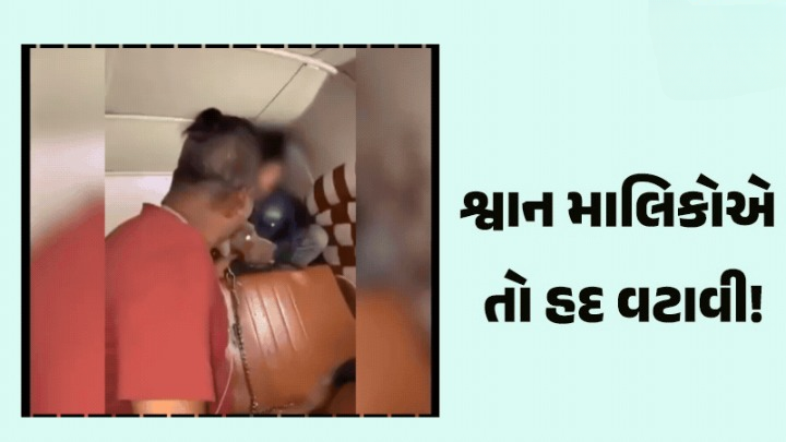 મુંબઈથી એક ચોંકાવનારો કિસ્સો સામે આવ્યો ; રિક્ષામાં બેઠેલા માસૂમ પર માલિકે કરાવ્યો પિટબુલનો ઘાતક એટેક