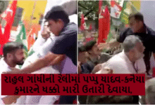 રાહુલ ગાંધીની રેલીમાં પપ્પુ યાદવ-કનૈયા કુમારને ધક્કો મારી ઉતારી દેવાયા જાણો શું હતી ઘટના ?