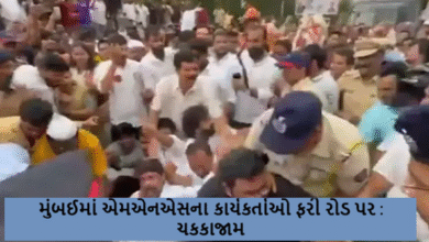 થપ્પડકાંડનો વિરોધ કરી રહેલા વેપારીઓ સામે રાજ ઠાકરેના કાર્યકર્તાઓ ઉતર્યા મુંબઈમાં એમએનએસના કાર્યકર્તાઓ ફરી રોડ પર : ચકકાજામ