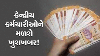 આઠમા પગાર પંચ પુર્વેના આખરી મોંઘવારી ભથ્થા વધારાની જાહેરાત આગામી માસમાં કેન્દ્રીય કર્મચારીના મોંઘવારી ભથ્થામાં ત્રણથી ચાર ટકા વધારો થવાની ધારણા