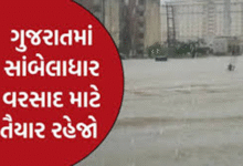 રાજ્યમાં ભારેથી અતિભારે વરસાદની આગાહી કરવામાં આવી છે. આગામી 3 કલાકમાં ભારેથી અતિભારે વરસાદની આગાહી કરવામાં આવી છે.