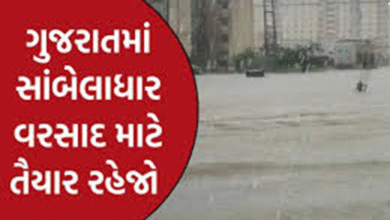 રાજ્યમાં ભારેથી અતિભારે વરસાદની આગાહી કરવામાં આવી છે. આગામી 3 કલાકમાં ભારેથી અતિભારે વરસાદની આગાહી કરવામાં આવી છે.