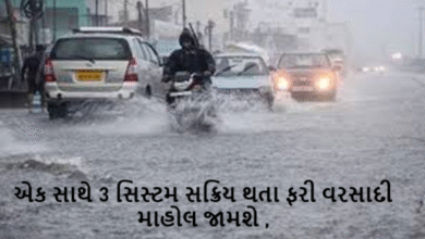 આવતીકાલથી રાજ્યાં ફરી વરસાદનું જોર વધશે. એક સાથે 3 સિસ્ટમ સક્રિય થતા ફરી વરસાદી માહોલ જામશે