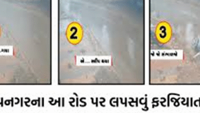 ભાવનગરનાં તળાઝા-ગોપનાથ આરસીસી રોડ પર વાહનો સ્લીપ થતા હોવાનો વીડિયો વાયરલ થયો ,
