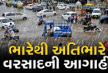 હવામાન વિભાગે રાજ્યમાં આગામી સાત દિવસ સુધી ભારેથી અતિભારે વરસાદની આગાહી કરી છે ,