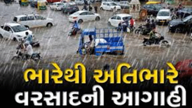 હવામાન વિભાગે રાજ્યમાં આગામી સાત દિવસ સુધી ભારેથી અતિભારે વરસાદની આગાહી કરી છે ,