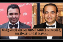 ભાગેડુ નીરવ મોદીના ભાઈની અમેરિકામાં ધરપકડ, PNB કૌભાંડમાં મોટી સફળતા