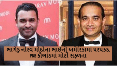 ભાગેડુ નીરવ મોદીના ભાઈની અમેરિકામાં ધરપકડ, PNB કૌભાંડમાં મોટી સફળતા