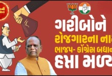 ભરૂચ મનરેગા કૌભાંડમાં સાંસદ મનસુખ વસાવાનો મોટો ધડાકો: "વિપક્ષના નેતાઓએ પણ લીધા છે રૂપિયા ,