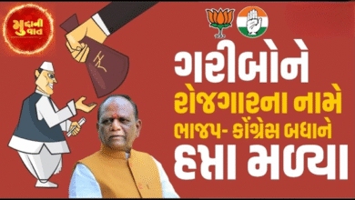 ભરૂચ મનરેગા કૌભાંડમાં સાંસદ મનસુખ વસાવાનો મોટો ધડાકો: "વિપક્ષના નેતાઓએ પણ લીધા છે રૂપિયા ,