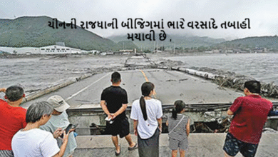 ચીનની રાજધાની બીજિંગમાં ભારે વરસાદે તબાહી મચાવી છે. વરસાદને કારણે અત્યાર સુધીમાં 30 લોકોનાં મોત થયાં છે, જ્યારે લગભગ 80,000 લોકોને પોતાનાં ઘર છોડીને સુરક્ષિત સ્થળોએ જવું પડ્યું છે.