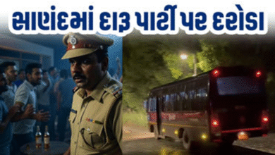 સાણંદમાં આવેલા ગ્લેડ 1 રિસોર્ટમાં દારૂની મહેફિલ માણતા 39થી વધુ નબીરાઓની અટકાયત કરવામાં આવી હતી.