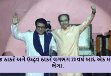 બાલાસાહેબ ન કરી શકયા તે ફડનવીસે શકય કર્યુ ; 20 વર્ષ બાદ ઉધ્ધવ અને રાજ ઠાકરે એક મંચ પર : જો ભાષા માટે લડવું ગુંડાગીરી છે તો અમે ગુંડા છીએ