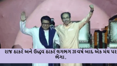 બાલાસાહેબ ન કરી શકયા તે ફડનવીસે શકય કર્યુ ; 20 વર્ષ બાદ ઉધ્ધવ અને રાજ ઠાકરે એક મંચ પર : જો ભાષા માટે લડવું ગુંડાગીરી છે તો અમે ગુંડા છીએ