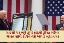 ભારત સાથે ડીલને લઇ આપી ખુશખબર