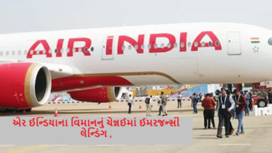 એર ઈન્ડિયાના વિમાનનું ચેન્નઈમાં ઈમરજન્સી લેન્ડિંગ, સાંસદ સહિત 100 પ્રવાસીઓ હતા સવાર