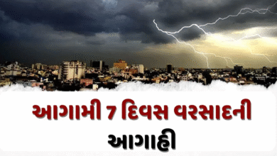 રાજ્યમાં આગામી 7 દિવસ હળવાથી મધ્યમ વરસાદની આગાહી હવામાન વિભાગ દ્વારા કરવામાં આવી છે.