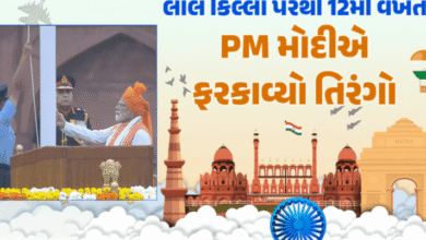 વડાપ્રધાન નરેન્દ્ર મોદી લાલ કિલ્લા પર રાષ્ટ્રધ્વજ ફરકાવ્યો અને દેશને સંબોધિત કર્યો. આ વર્ષે સ્વતંત્રતા દિવસની ઉજવણી ખાસ છે અને તેની થીમ 'ન્યૂ ઇન્ડિયા' રાખવામાં આવી છે.
