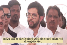 આદિત્ય ઠાકરેએ કહ્યું, "અમારા ઘરમાં, નવરાત્રિમાં પણ, અમારા પ્રસાદમાં ઝીંગા અને માછલીઓ હોય છે, કારણ કે આ અમારી પરંપરા છે ,