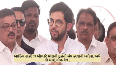 આદિત્ય ઠાકરેએ કહ્યું, "અમારા ઘરમાં, નવરાત્રિમાં પણ, અમારા પ્રસાદમાં ઝીંગા અને માછલીઓ હોય છે, કારણ કે આ અમારી પરંપરા છે ,