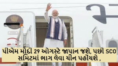 પીએમ મોદી 29 ઓગસ્ટે જાપાન જશે, પછી SCO સમિટમાં ભાગ લેવા ચીન પહોંચશે ,