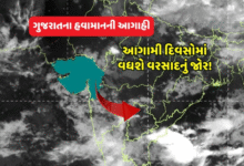 આજથી ગુજરાતમાં વધશે વરસાદનું જોર, એક સાથે ચાર વરસાદી સિસ્ટમ થઈ સક્રીય