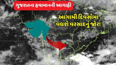 આજથી ગુજરાતમાં વધશે વરસાદનું જોર, એક સાથે ચાર વરસાદી સિસ્ટમ થઈ સક્રીય