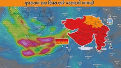 ગુજરાતમાં આગામી સાત દિવસ સુધી વરસાદની તીવ્રતા ધીમે ધીમે ઘટતી જશે એવી હવામાન વિભાગે આગાહી કરી છે ,