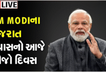 પ્રધાનમંત્રી મોદીનો ગુજરાત પ્રવાસનો આજે બીજો દિવસ, Maruti E Vitaraનું આજે લોન્ચિંગ કરશે ,