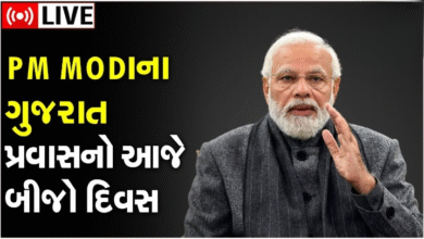 પ્રધાનમંત્રી મોદીનો ગુજરાત પ્રવાસનો આજે બીજો દિવસ, Maruti E Vitaraનું આજે લોન્ચિંગ કરશે ,
