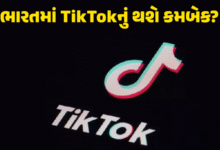 ચાઇનીઝ વીડિયો સ્ટ્રીમિંગ પ્લેટફોર્મ TikTok પરથી પ્રતિબંધ હટાવી દીધા હોવાના અહેવાલો વચ્ચે સરકારે નિવેદન આપીને આવા અહેવાલોનું ખંડન કરી દીધું છે.