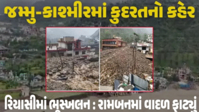 જમ્મુ કાશ્મીરમાં સતત ભારે વરસાદને કારણે ભૂસ્ખલનની ઘટના બનતી રહે છે. રવિવારે પણ જમ્મુ કાશ્મીરમાં ભૂસ્ખલનની ઘટના બની હતી જેના પગલે માતા વૈષ્ણોદેવી જતાં લોકોને રોકવામાં આવ્યા છે.