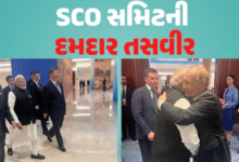 એક મંચ પર એકસાથે રમૂજ કરતા નજરે પડ્યાં PM મોદી-જિનપિંગ અને પુતિન ,