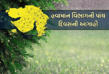 વામાન વિભાગ દ્વારા જાહેર કરવામાં આવેલી આગાહી અનુસાર, આ અઠવાડિયું ઉત્તર ગુજરાત અને દક્ષિણ ગુજરાતના અનેક વિસ્તારોમાં મેઘરાજા મન મૂકીને વરસશે.