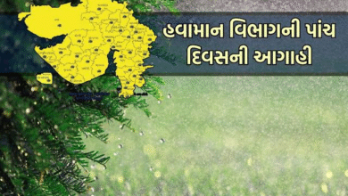 વામાન વિભાગ દ્વારા જાહેર કરવામાં આવેલી આગાહી અનુસાર, આ અઠવાડિયું ઉત્તર ગુજરાત અને દક્ષિણ ગુજરાતના અનેક વિસ્તારોમાં મેઘરાજા મન મૂકીને વરસશે.