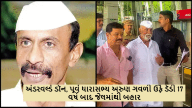 અંડરવર્લ્ડ ડૉન, પૂર્વ ધારાસભ્ય અરુણ ગવળી ઉર્ફે ડૅડી 17 વર્ષ બાદ જેલમાંથી બહાર