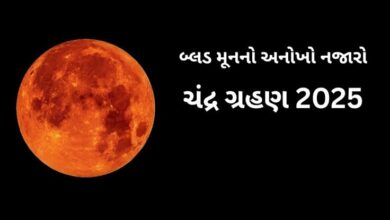 વર્ષ 2025નું બીજું અને છેલ્લું પૂર્ણ ચંદ્રગ્રહણ 9 સપ્ટેમ્બરની રાત્રે ભારત સહિત વિશ્વના અનેક દેશોમાં જોવા મળ્યું. આ વખતે 122 વર્ષ પછી ચંદ્રગ્રહણ અને પિતૃ પક્ષનો મહાસંયોગ બનતા તેની વિશેષતા વધુ વધી ગઈ હતી.