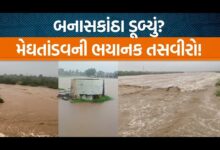 બનાસકાંઠા જિલ્લામાં આભ ફાટ્યું હતું. છેલ્લા 24 કલાકમાં 16.14 ઈંચ વરસાદથી સૂઈગામમાં જળબંબાકારની સ્થિતિ સર્જાઈ હતી.