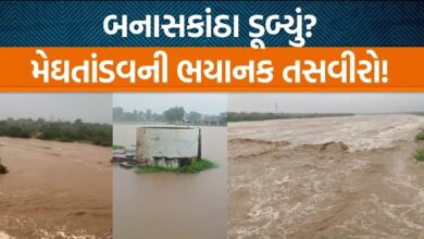 બનાસકાંઠા જિલ્લામાં આભ ફાટ્યું હતું. છેલ્લા 24 કલાકમાં 16.14 ઈંચ વરસાદથી સૂઈગામમાં જળબંબાકારની સ્થિતિ સર્જાઈ હતી.